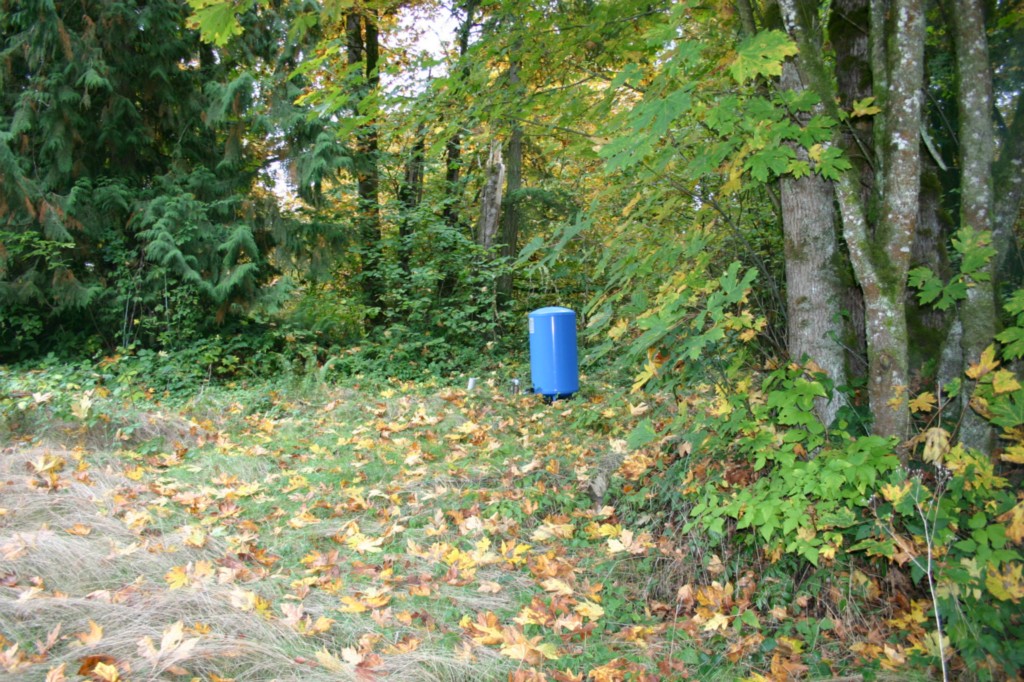 29743 164th, Kent, WA 98042