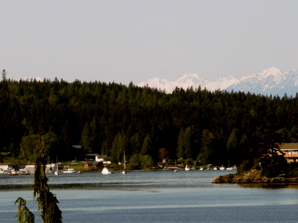15225  Gibralter, Anacortes, Washington Homes & Land - Real Estate